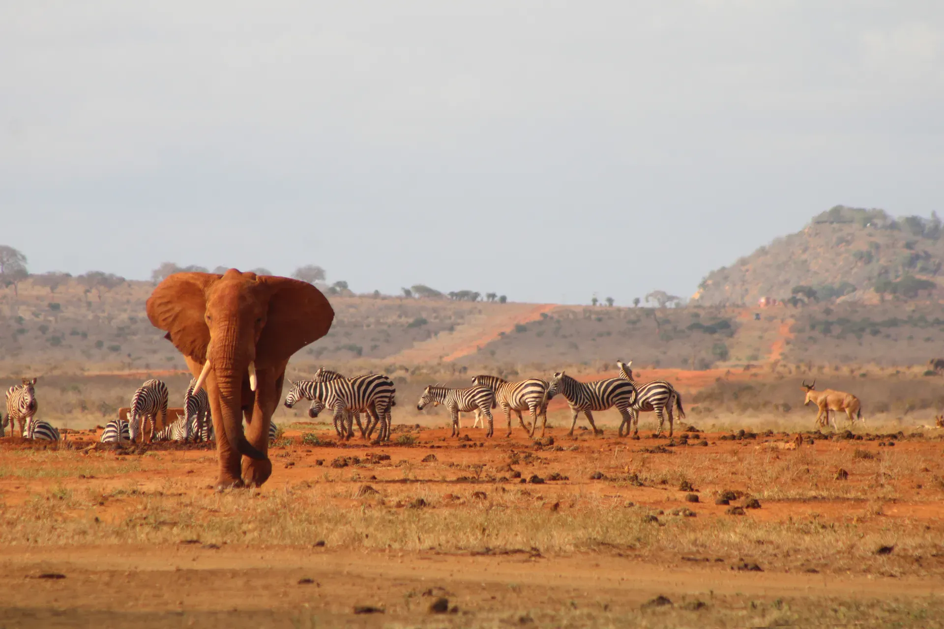 Tsavo-East-Nationalpark