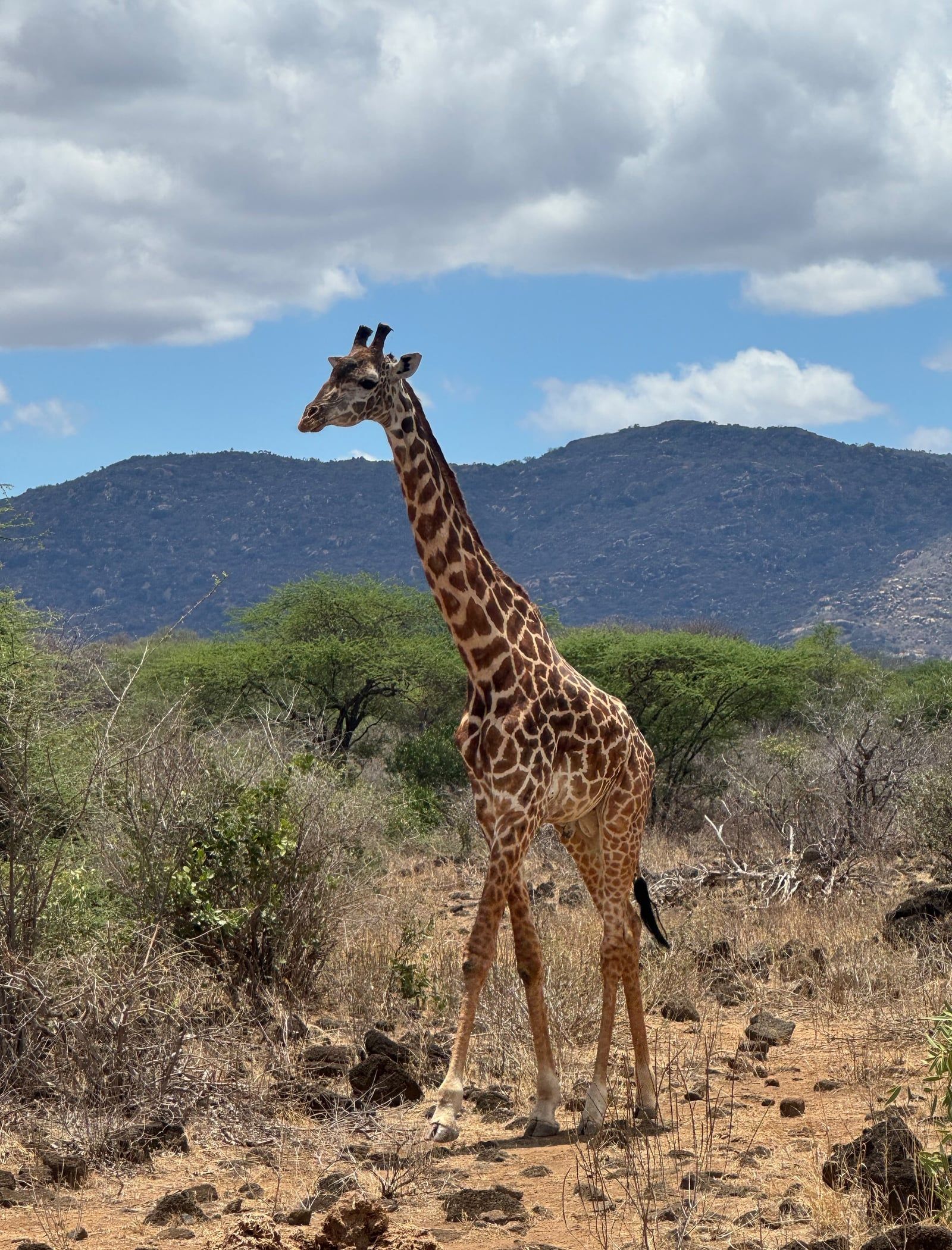 Tsavo-East-Nationalpark Ansicht
