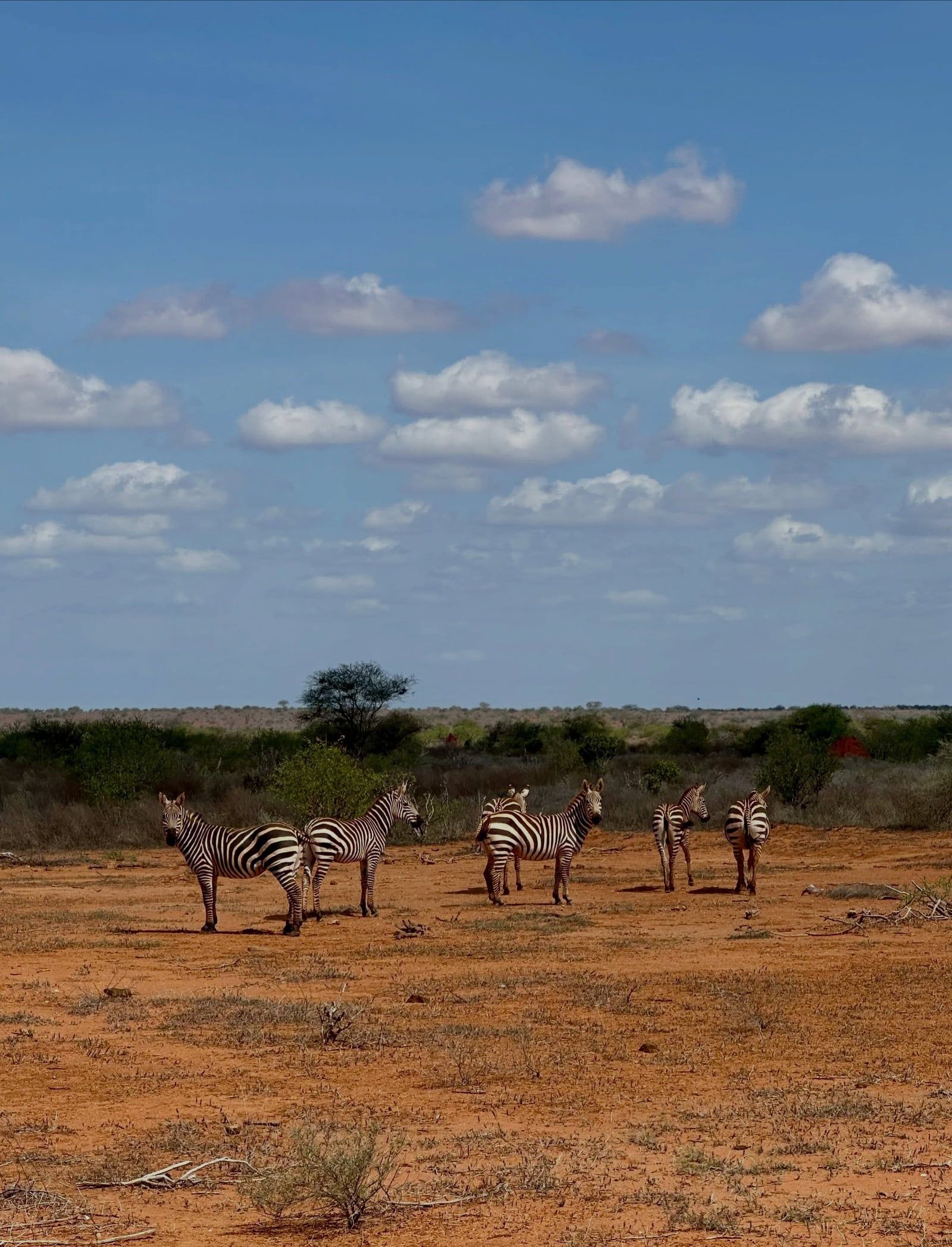 Tsavo-East-Nationalpark Ansicht