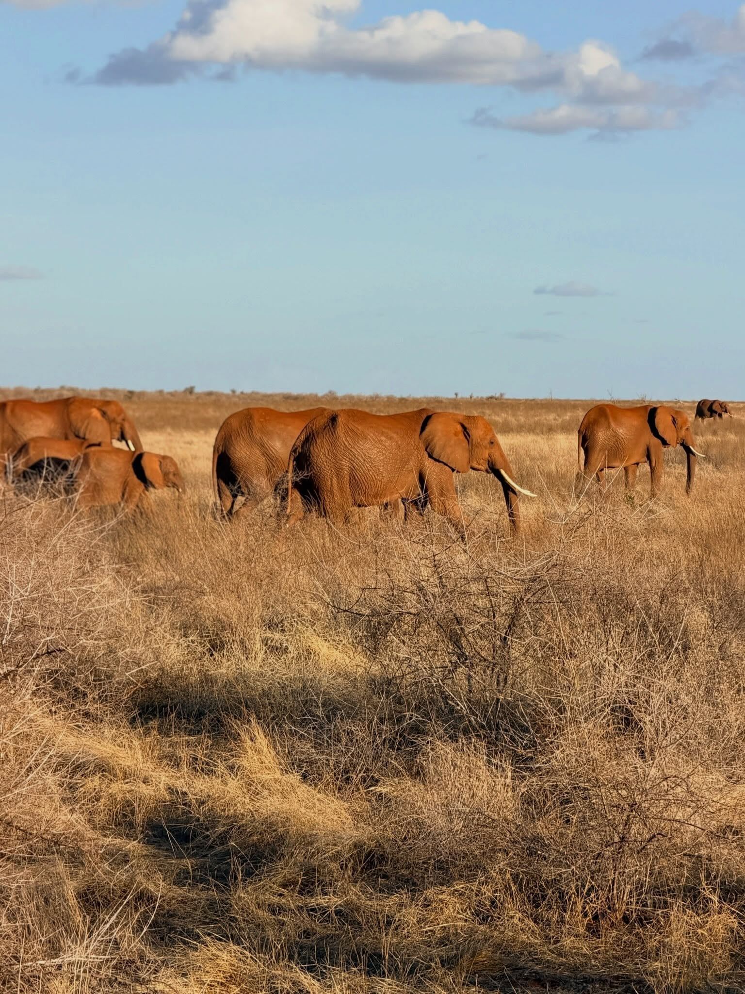 Tsavo-East-Nationalpark Ansicht