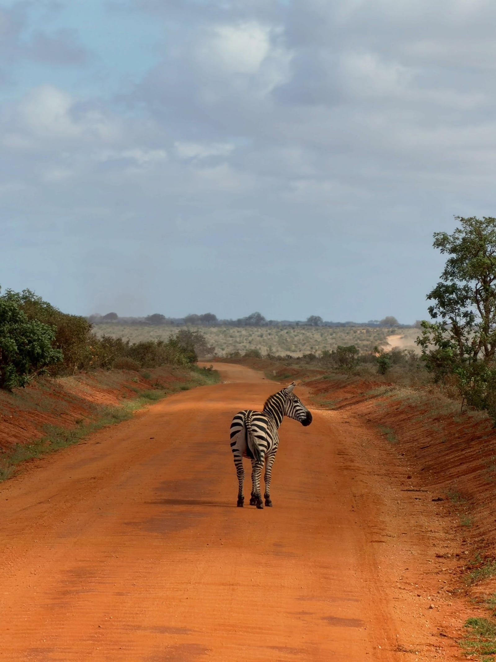 Tsavo East National Park tour visitor photo