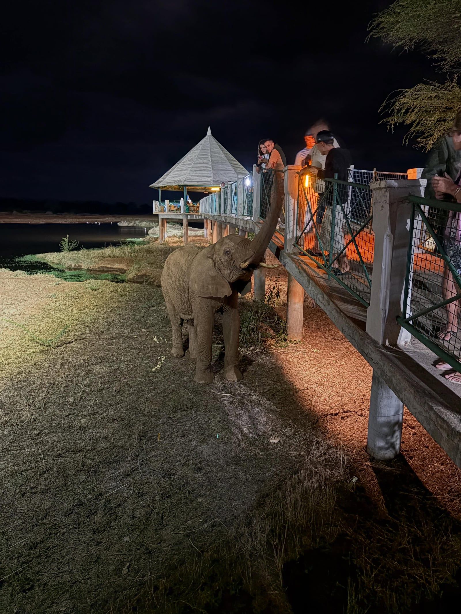 Tsavo East National Park tour visitor photo